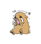 ポメラニアンのポン（個別スタンプ：29）