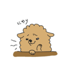 ポメラニアンのポン（個別スタンプ：32）