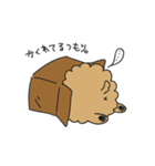 ポメラニアンのポン（個別スタンプ：36）
