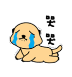 Otter - "MA-ZI"（個別スタンプ：31）