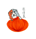 Coffee dog（個別スタンプ：2）