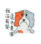 Coffee dog（個別スタンプ：6）