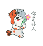Coffee dog（個別スタンプ：12）