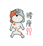 Coffee dog（個別スタンプ：23）