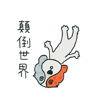 Coffee dog（個別スタンプ：31）