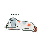Coffee dog（個別スタンプ：36）
