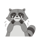 Lovely North American Raccoon（個別スタンプ：9）