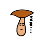 キノコとタケノコ（個別スタンプ：7）