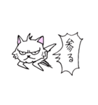 目つきの悪い猫 -サムライ語-（個別スタンプ：3）