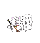 目つきの悪い猫 -サムライ語-（個別スタンプ：4）
