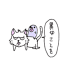 目つきの悪い猫 -サムライ語-（個別スタンプ：12）