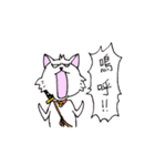 目つきの悪い猫 -サムライ語-（個別スタンプ：14）