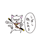 目つきの悪い猫 -サムライ語-（個別スタンプ：19）