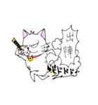 目つきの悪い猫 -サムライ語-（個別スタンプ：21）