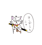 目つきの悪い猫 -サムライ語-（個別スタンプ：22）