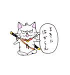 目つきの悪い猫 -サムライ語-（個別スタンプ：23）