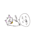 目つきの悪い猫 -サムライ語-（個別スタンプ：26）