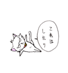 目つきの悪い猫 -サムライ語-（個別スタンプ：34）