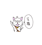 目つきの悪い猫 -サムライ語-（個別スタンプ：35）