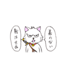 目つきの悪い猫 -サムライ語-（個別スタンプ：39）