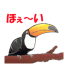 ちょっとリアルな鳥たち（個別スタンプ：25）