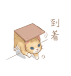 ネコちゃん日和（個別スタンプ：8）