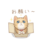 ネコちゃん日和（個別スタンプ：13）