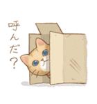 ネコちゃん日和（個別スタンプ：16）