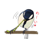 日本の野鳥～身近な野鳥～（個別スタンプ：14）