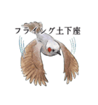 日本の野鳥～身近な野鳥～（個別スタンプ：18）