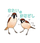 日本の野鳥～身近な野鳥～（個別スタンプ：27）