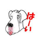 イマジンドックスの犬たち その1（個別スタンプ：27）