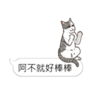 bobble cat message talk 3（個別スタンプ：5）