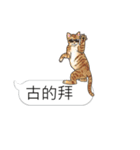 bobble cat message talk 3（個別スタンプ：7）