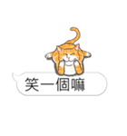 bobble cat message talk 3（個別スタンプ：10）