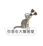 bobble cat message talk 3（個別スタンプ：13）