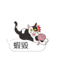 bobble cat message talk 3（個別スタンプ：14）