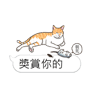 bobble cat message talk 3（個別スタンプ：21）