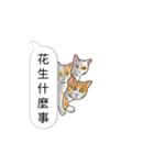 bobble cat message talk 3（個別スタンプ：32）