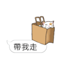 bobble cat message talk 3（個別スタンプ：33）