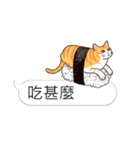 bobble cat message talk 3（個別スタンプ：35）