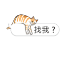 bobble cat message talk 3（個別スタンプ：36）