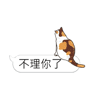 bobble cat message talk 3（個別スタンプ：38）