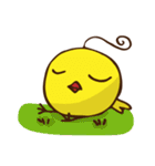 バラエティいたずらなひよこ（個別スタンプ：11）