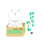 ねこで日常会話（個別スタンプ：7）