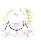 ねこで日常会話（個別スタンプ：12）