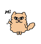 Persian CAT POLLY（個別スタンプ：1）