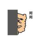 Persian CAT POLLY（個別スタンプ：2）