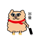 Persian CAT POLLY（個別スタンプ：3）
