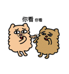 Persian CAT POLLY（個別スタンプ：12）